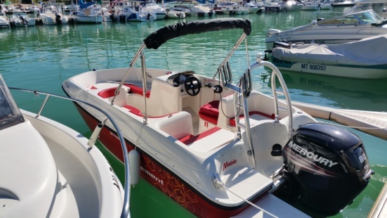 occasions-diverses-barques-et-bateaux-bayliner-element-16