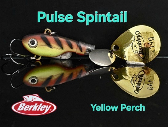 peche-lames-et-spintail-leurre-berkley-pulsespintail