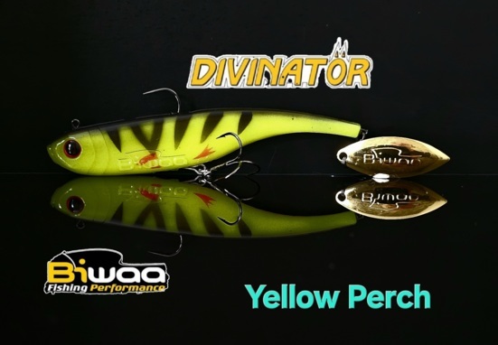 peche-leurres-biwwa-biwaa-divinator-medium-35g