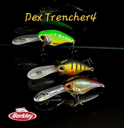 peche-leurres-durs-differentes-marques-berkley-dex-trencher-4cm