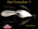 peche-leurres-durs-differentes-marques-berkley-dex-trencher-4cm