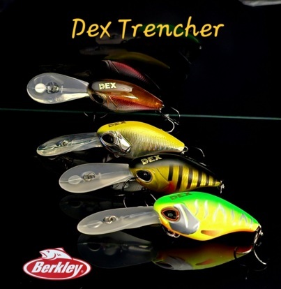 peche-leurres-durs-differentes-marques-berkley-dex-trencher-5.5cm