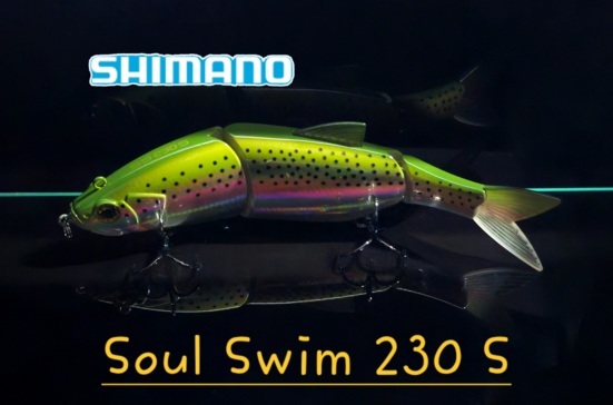 peche-leurres-durs-differentes-marques-shimano-yasei-soul-swim-s-23cm