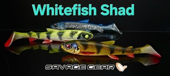 peche-leurres-pelagic-leurre-souple-savage-gear-3d-whitefish-shad