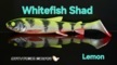 peche-leurres-pelagic-leurre-souple-savage-gear-3d-whitefish-shad