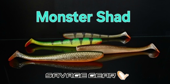 peche-leurres-pelagic-leurre-souple-savagear-monster-shad