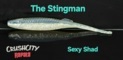 peche-leurres-rapala-leurres-rapala-crushcity-the-stingman