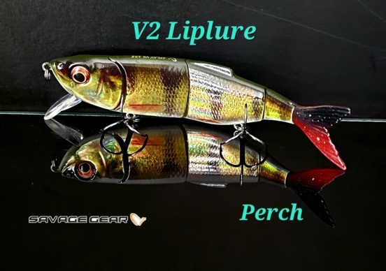 peche-leurres-savage-gear-savagear-4play-v2-liplure