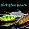 peche-leurres-westin-ricky-the-roach-shadtail-r-n-r