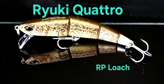 peche-ultimate-fishing-leurres-et-balam-leurre-duo-ryuki-quattro-90s